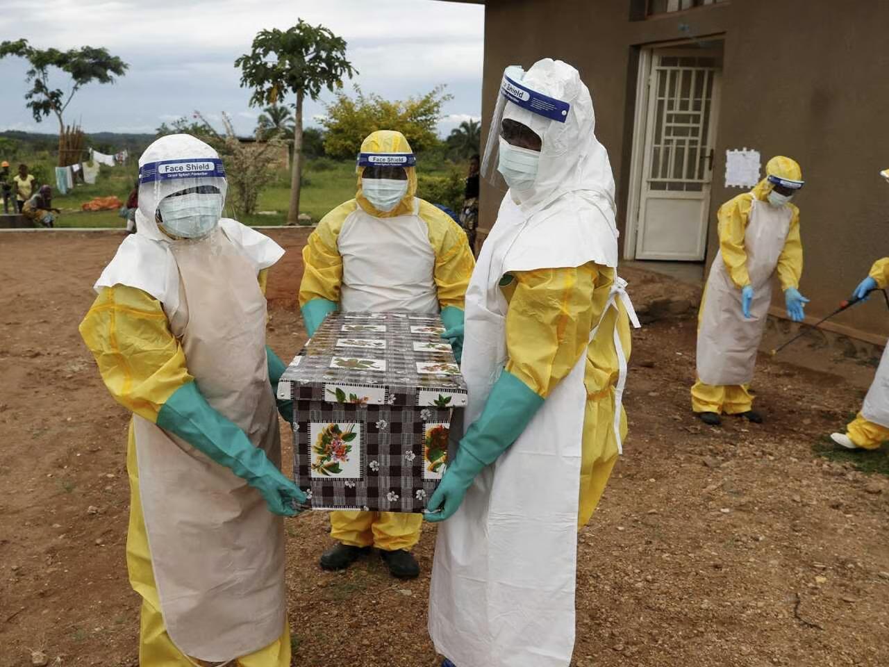 Kongo'da ebola salgını ilan edildi