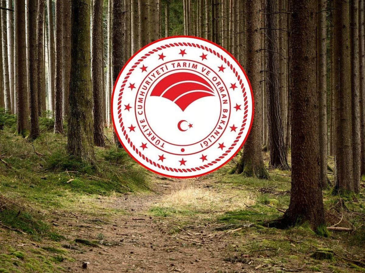 Bakanlık bünyesine 92 sözleşmeli personel alınacak!