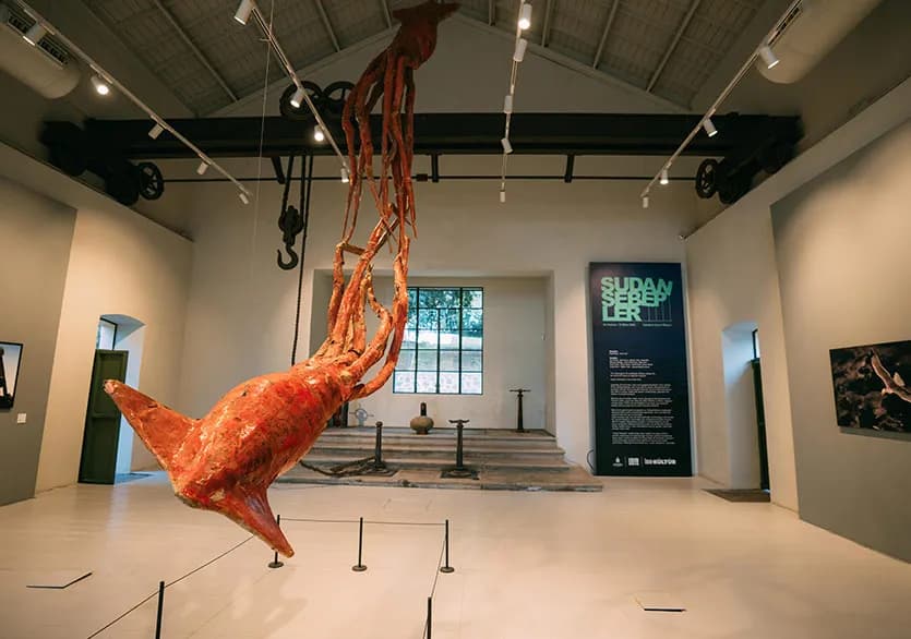 "Sudan Sebepler"