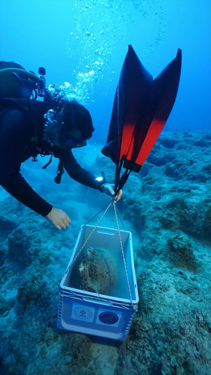 Kekova'da dünyanın en eski batığında amfora keşfi