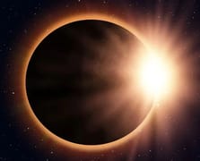 Hayvanlar güneş tutulmasından etkilenir mi?