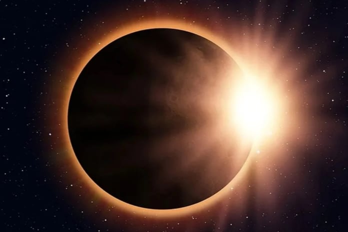 Hayvanlar güneş tutulmasından etkilenir mi?