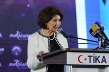 Siljanovska-Davkova'dan Türkiye ile iş birliğini genişletme mesajı