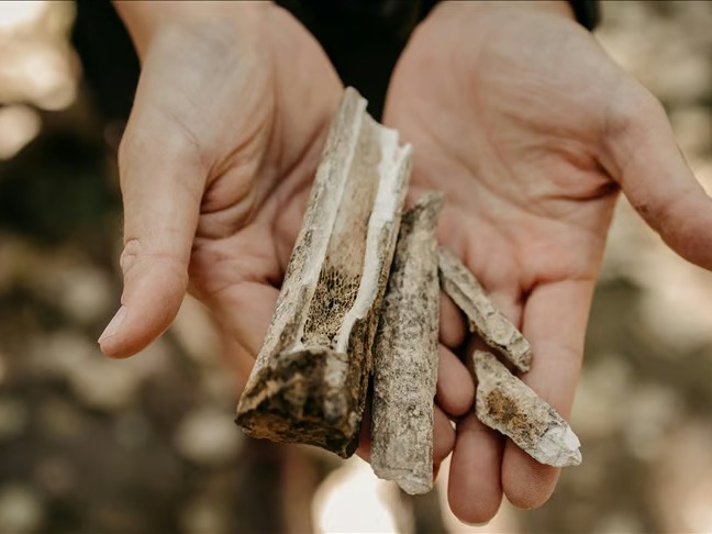 En eski mumyalama tekniğinin 14 bin yıl önce Vietnam'da kullanıldığı ortaya çıktı