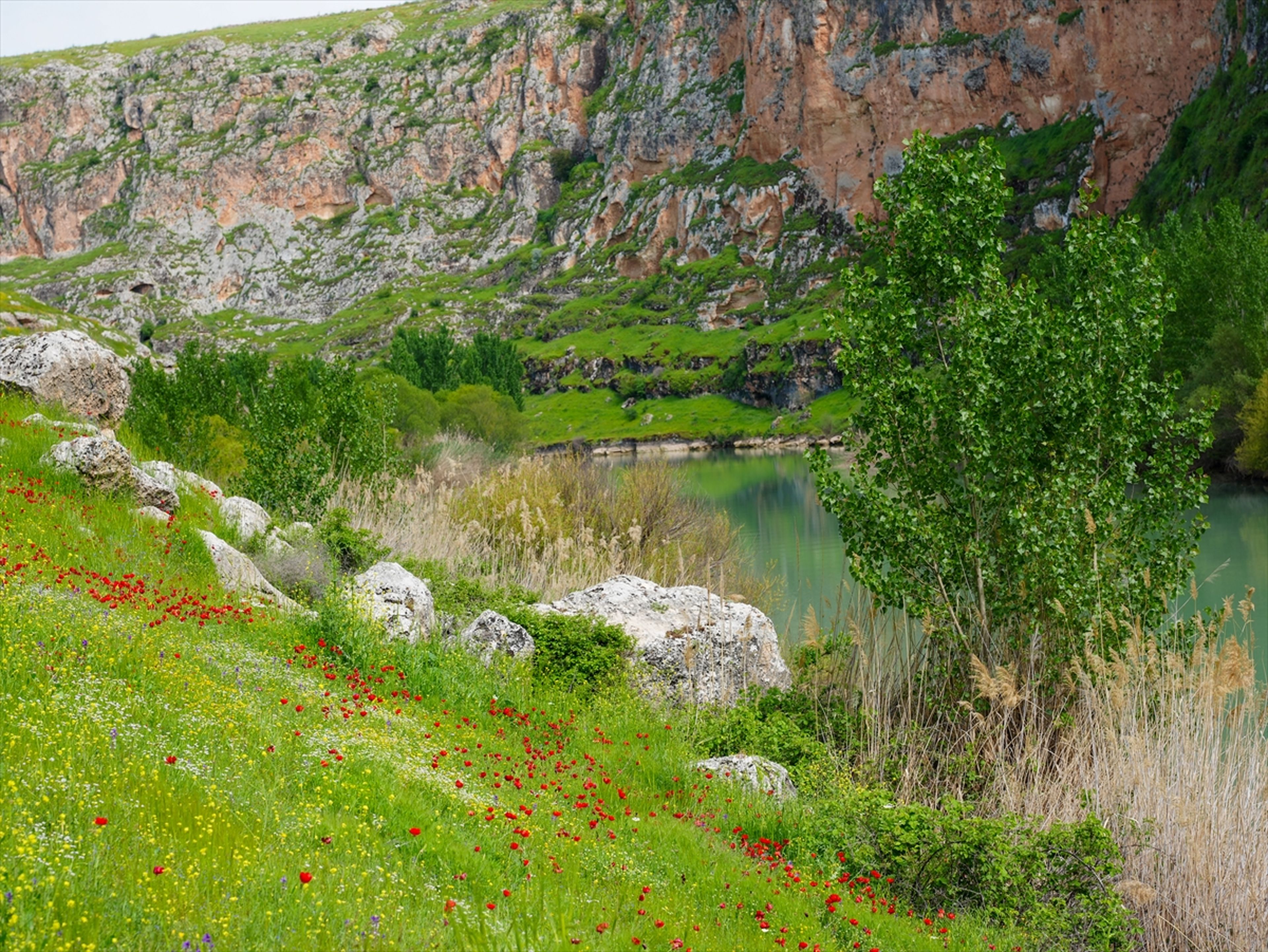 Galeri Fotoğrafı