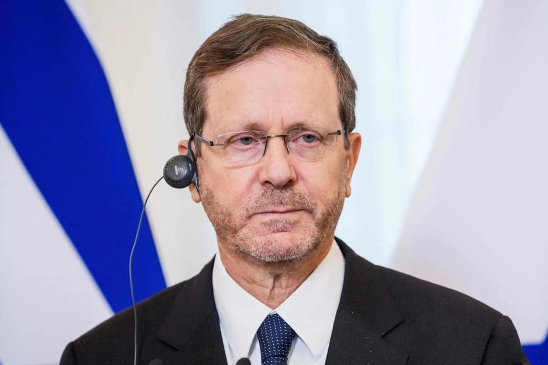 Herzog’dan İngiltere’ye yaptırım tepkisi: Tarihin yanlış tarafında olursunuz