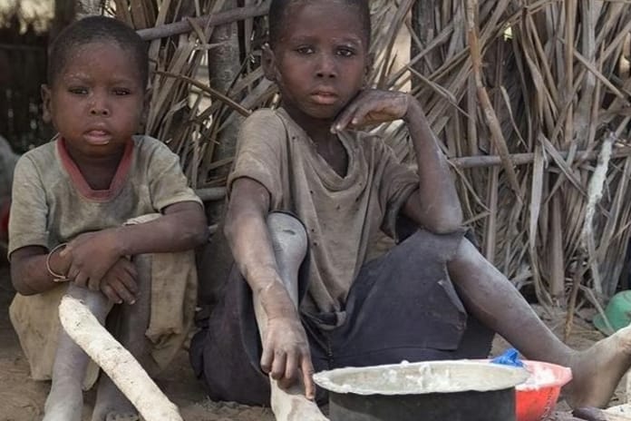 Nijerya'da 161 milyon kişi açlık riski altında