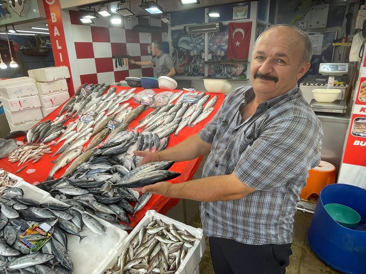 Ordu'da ucuz palamut ilgi çekiyor