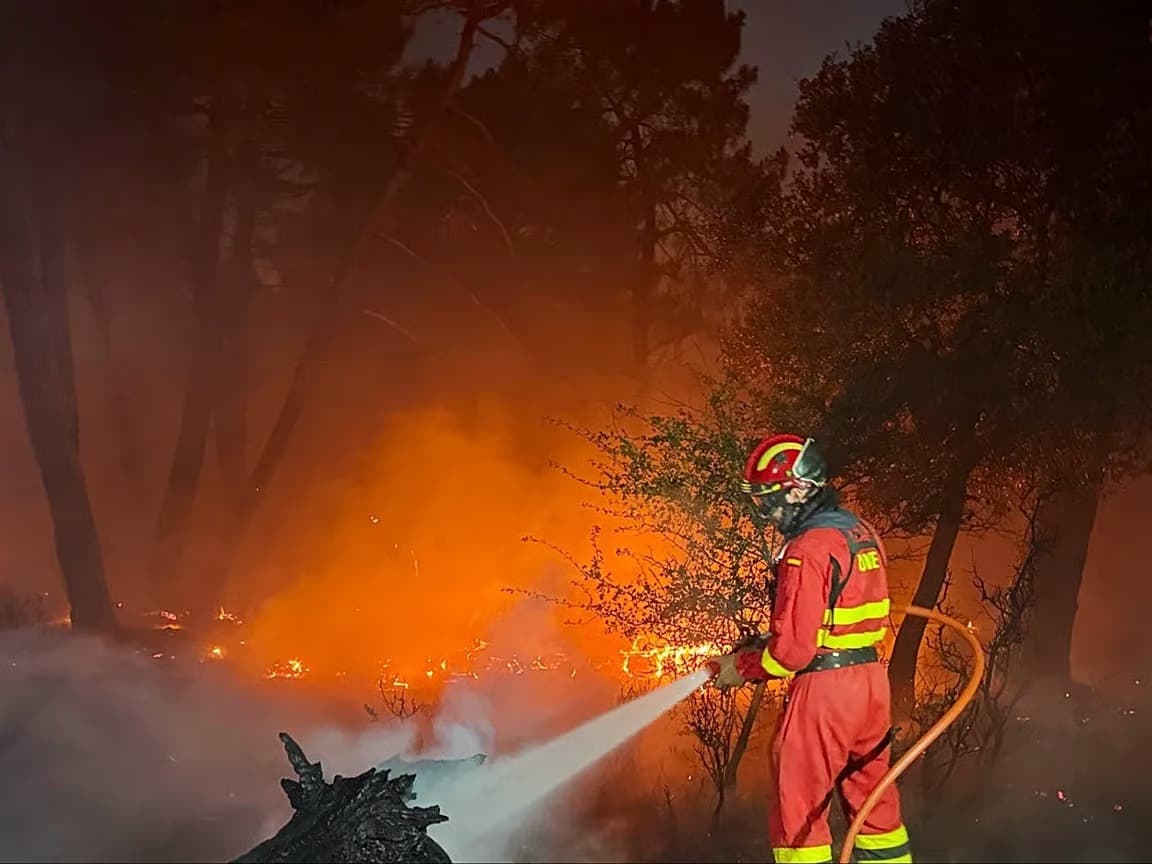 İspanya'da 12 bin hektar orman kül oldu
