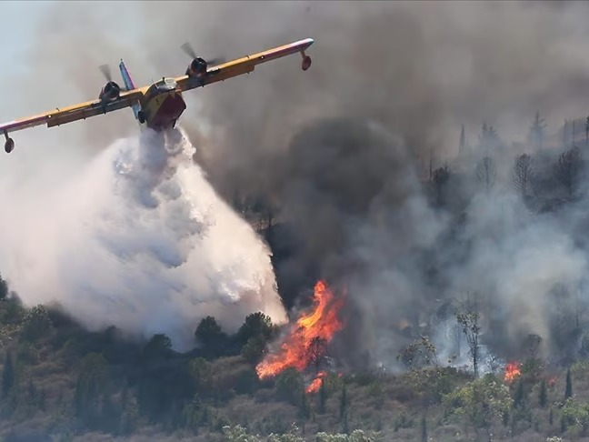 Jandarma'dan orman yangınlarına ilişkin soruşturma: 17 şüpheli gözaltında