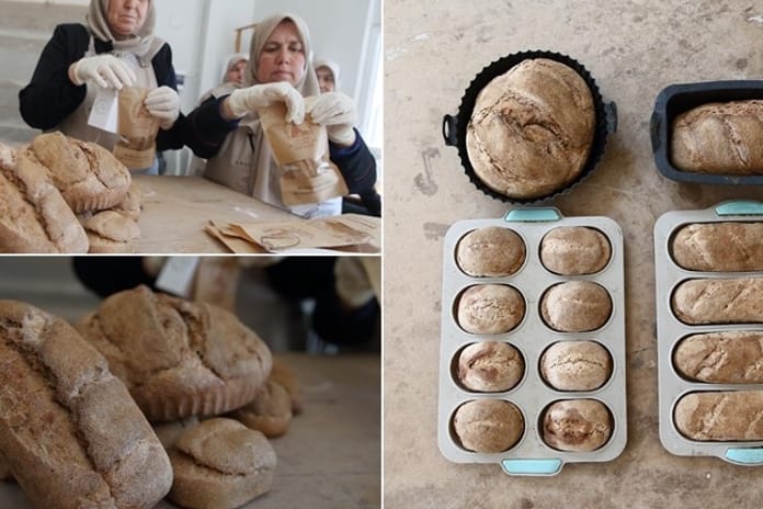 3.500 yıllık Hitit ekmeği Çorum’da yeniden hayat buldu