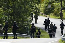 Lakewood'daki Harry Todd Parkı'nda silahlı saldırı: 7 yaralı