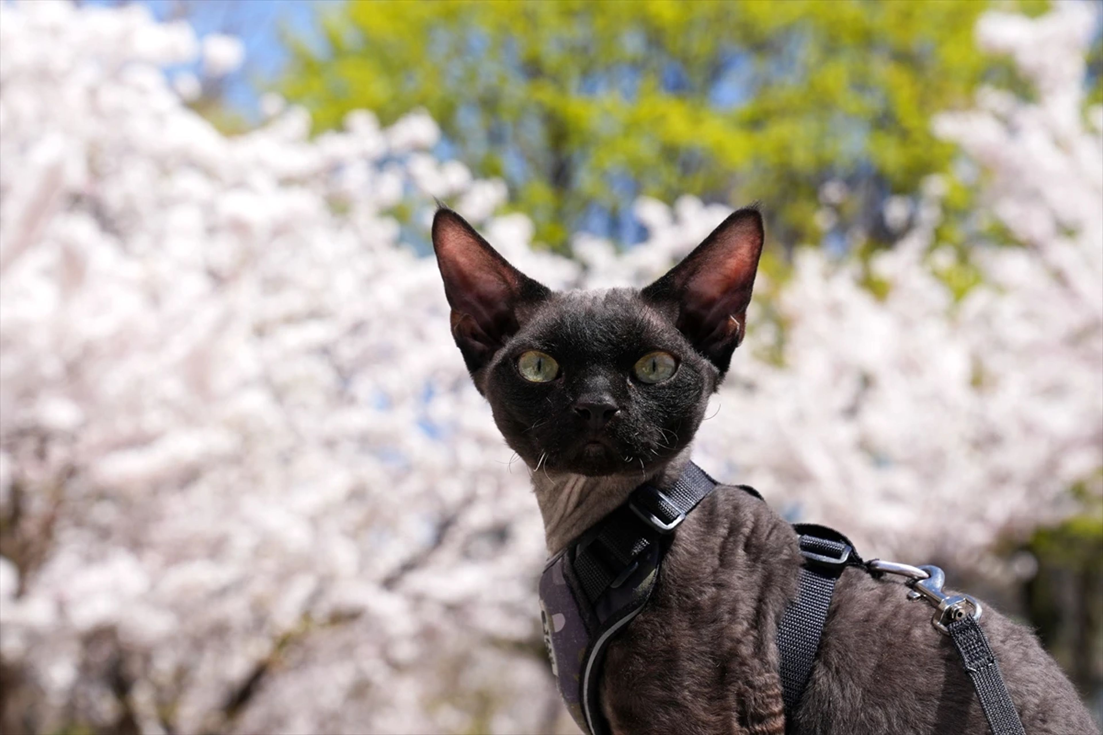Galeri Fotoğrafı