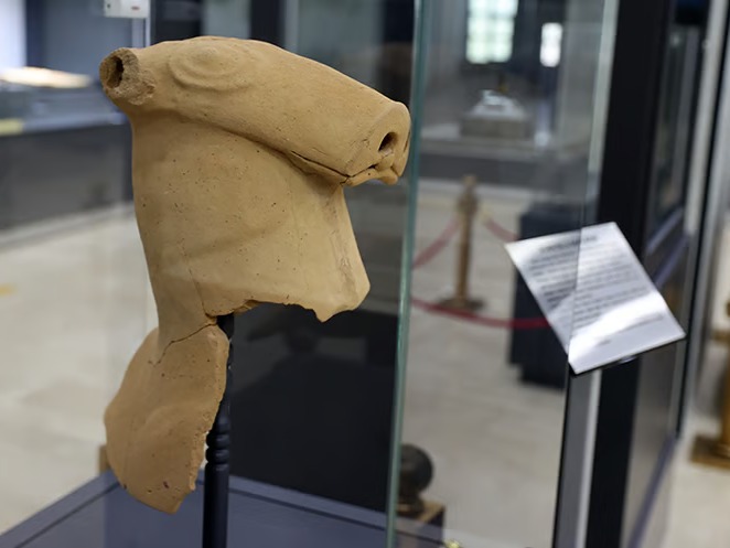 Sivas'ta kepçeye Hitit Testisi takıldı