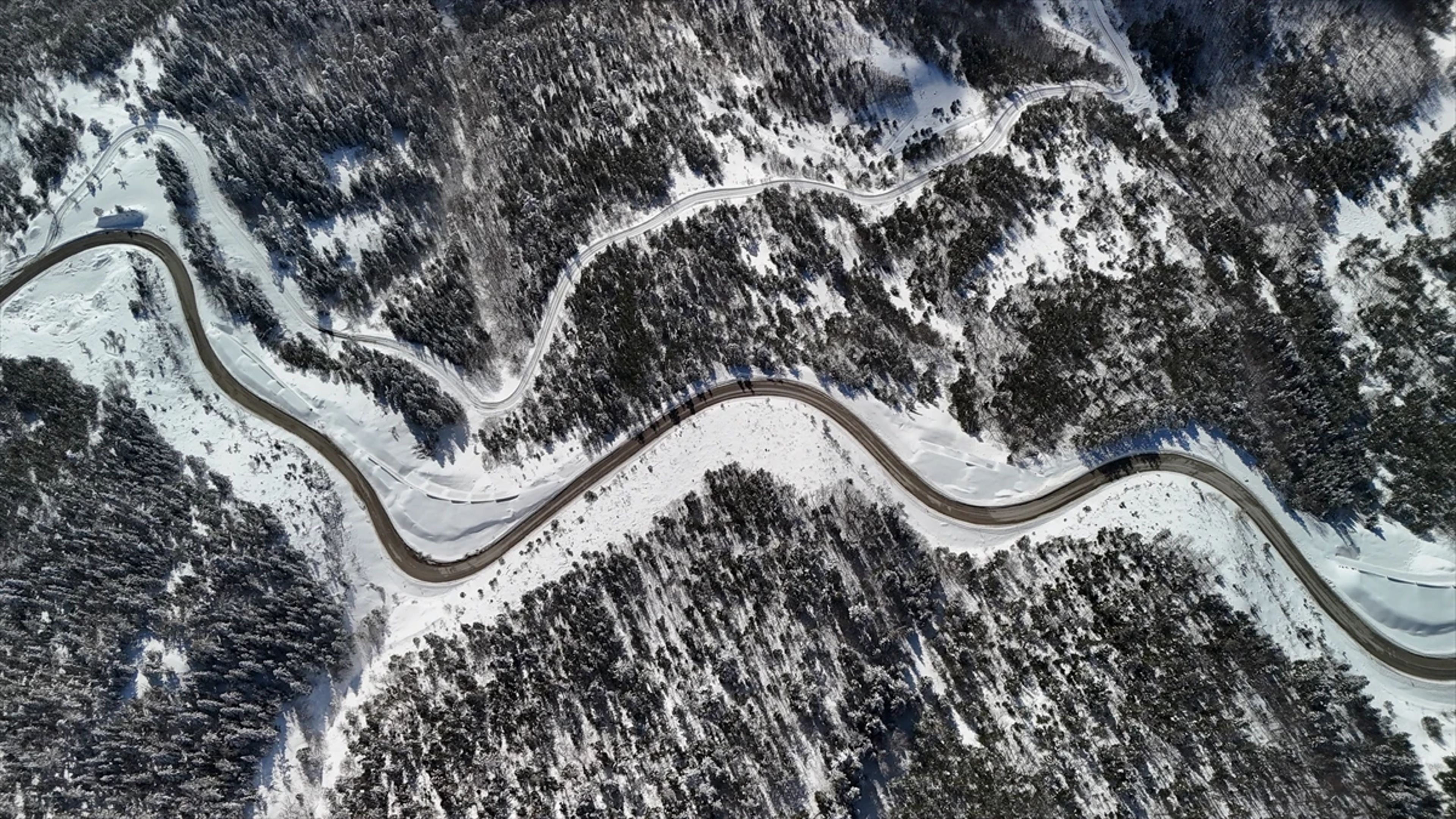 Galeri Fotoğrafı