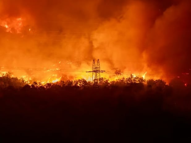 Karadağ'dan orman yangınları için uluslararası yardım çağrısı