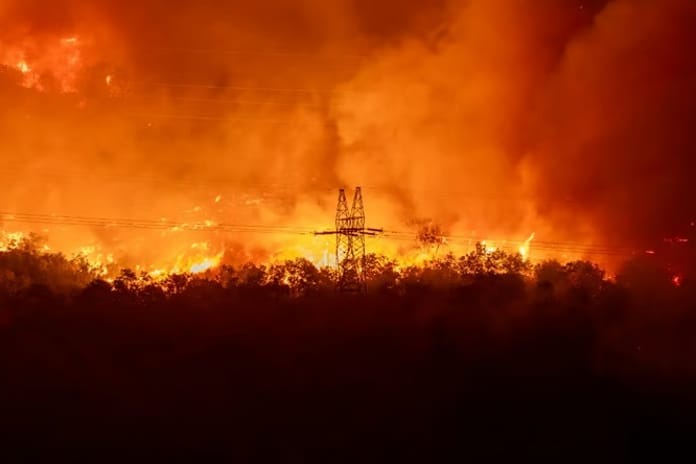 Karadağ'dan orman yangınları için uluslararası yardım çağrısı