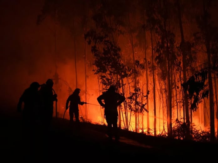 Madrid'in kuzeyinde orman yangınları çıktı: 1 ölü