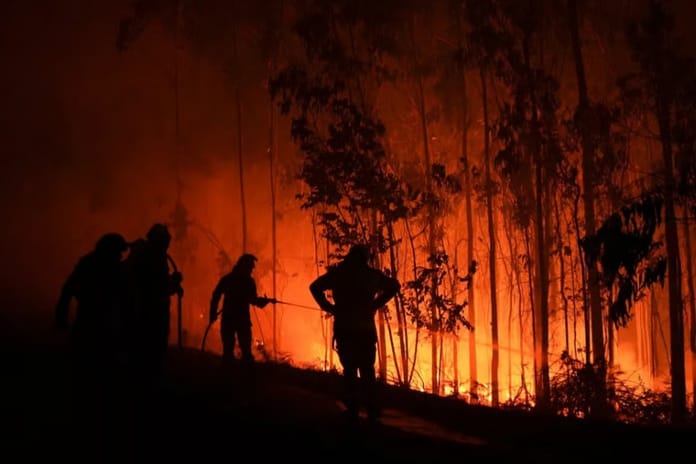 Madrid'in kuzeyinde orman yangınları çıktı: 1 ölü