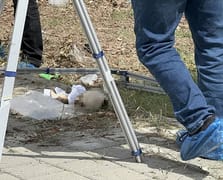 Adana'da çöp konteynerinin içinde kafatası bulundu