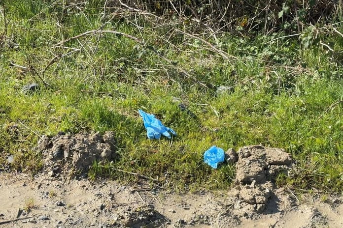 İstanbul’da vahşet: Kayıp Çinli iş insanı tarlada gömülü bulundu