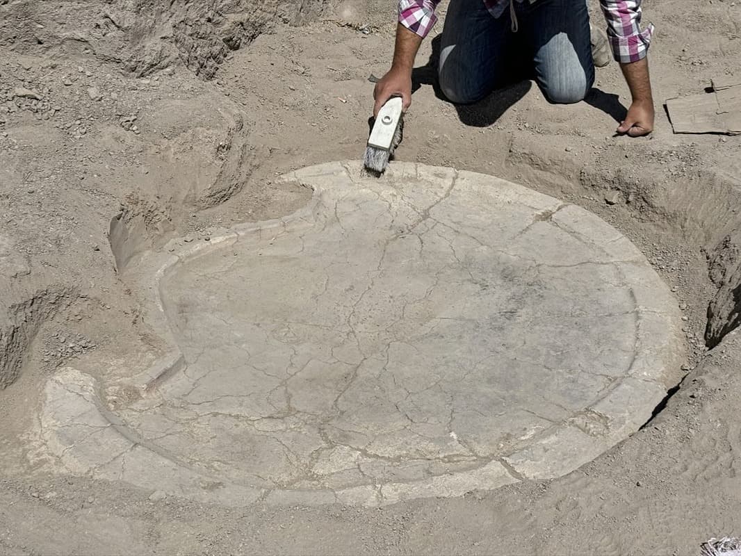 Elazığ'da 6 bin yıllık 'boğa başlı sunak' bulundu