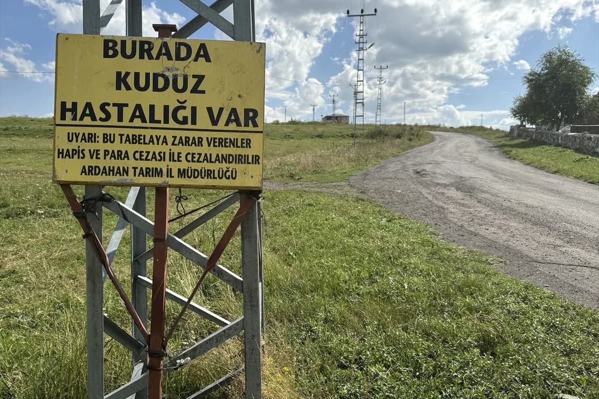 Ardahan’da kuduz alarmı! Bölgeye giriş çıkışlar kapatıldı