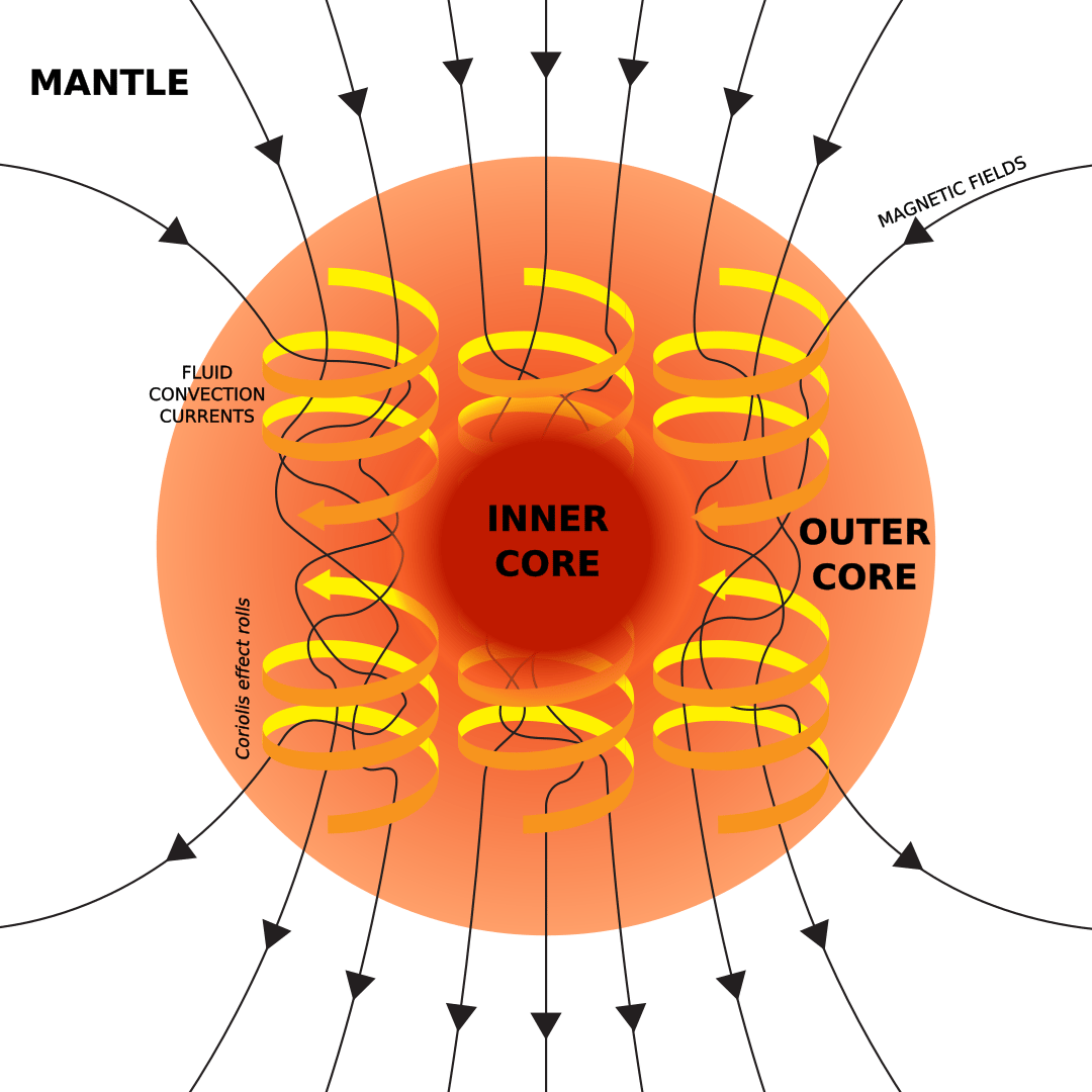 Dünya'nın manyetik alanını oluşturan dinamo mekanizmasının illüstrasyonu: iç çekirdekten gelen ısı akışı tarafından yönlendirilen, Coriolis kuvveti tarafından rulolar halinde düzenlenen Dünya'nın dış çekirdeğindeki akışkan metalin konveksiyon akımları, manyetik alanı destekleyen dolaşımdaki elektrik akımları üretir .