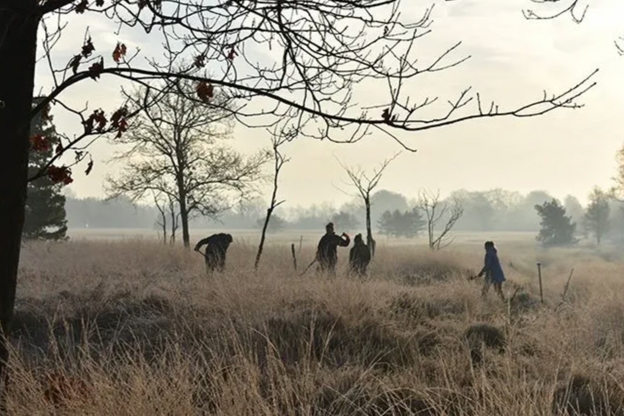 Hollanda'da Roma Ordusu kampı bulundu
