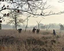 Hollanda'da Roma Ordusu kampı bulundu