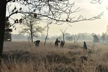 Hollanda'da Roma Ordusu kampı bulundu