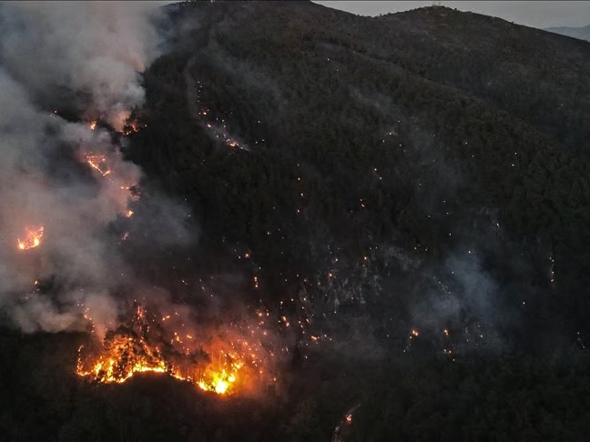 Syria Seeks EU Help As Latakia Wildfires Spread