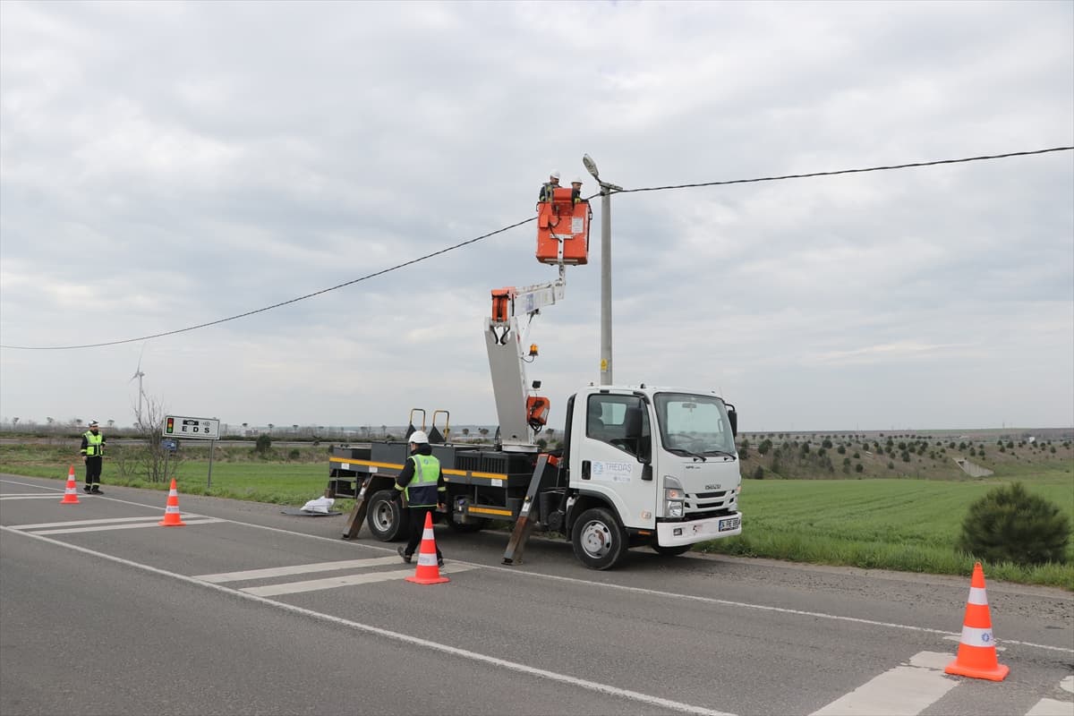 Trakya’da göçmen kuşlara güvenli göç yolu: 1000 özel platform kuruldu