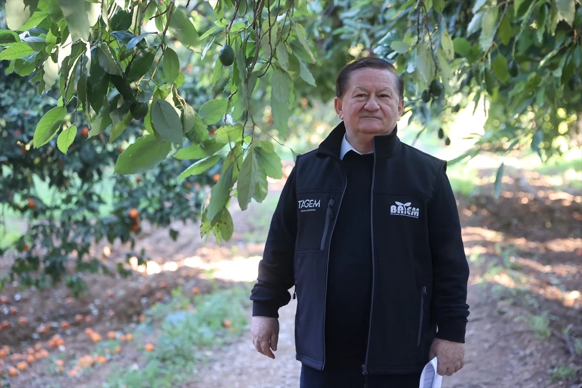 Batı Akdeniz Tarımsal Araştırma Enstitüsü Meyvecilik Bölümü'nde görev yapan Ziraat Yüksek Mühendisi Alper Arslan - AA