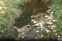 Şile Deresi kirliliği tartışması: Bakanlık 'Kirli' dedi, İBB yalanladı