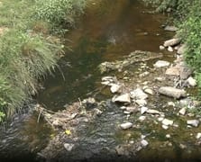 Şile Deresi kirliliği tartışması: Bakanlık 'Kirli' dedi, İBB yalanladı