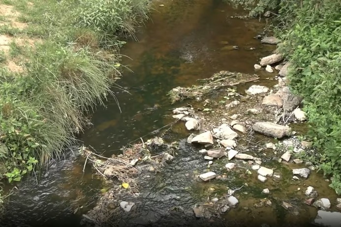 Şile Deresi kirliliği tartışması: Bakanlık 'Kirli' dedi, İBB yalanladı
