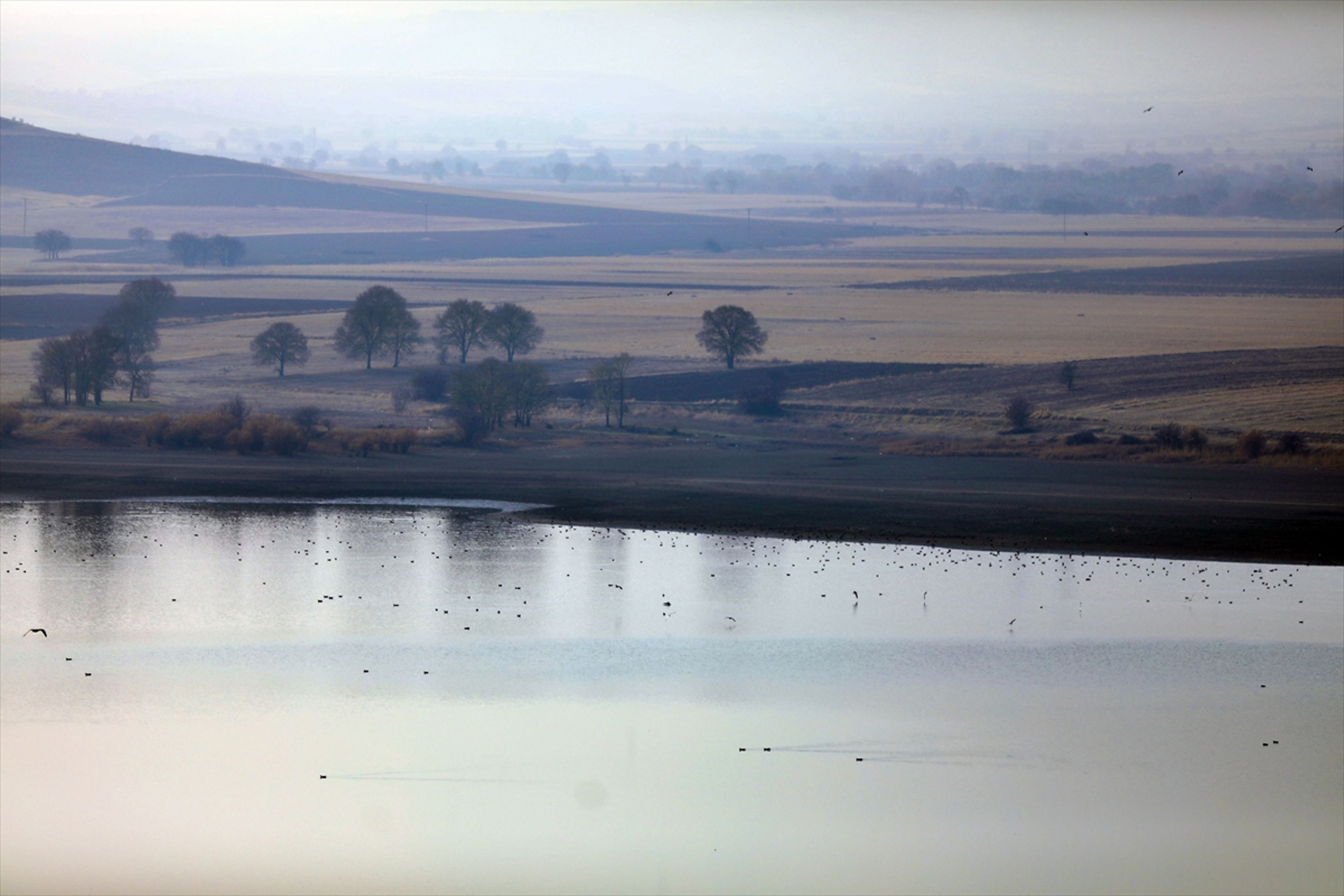 Galeri Fotoğrafı