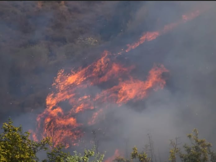 Orman yangını mağdurlarına 21,6 milyon TL yardım yapıldı