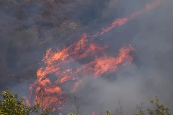 Orman yangını mağdurlarına 21,6 milyon TL yardım yapıldı