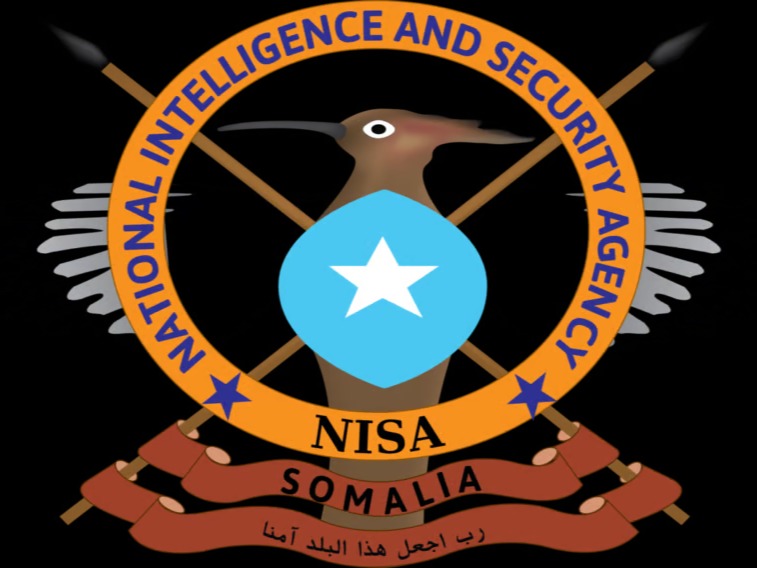 Somali Intelligence Kills 15 al-Shabaab Fighters