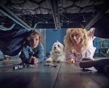 Korku filmleri neden bu kadar tutuyor?