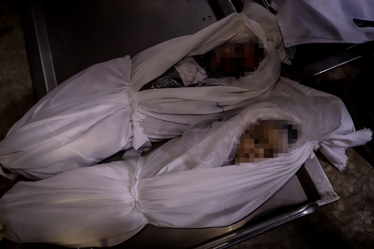 Galeri Fotoğrafı