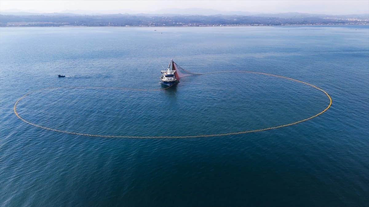 Sakarya'da balıkçıların palamut mesaisi görüntülendi