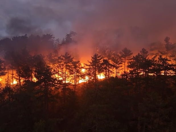 Türkiye yangınlarla boğuşuyor: Dört ilde mücadele devam ediyor