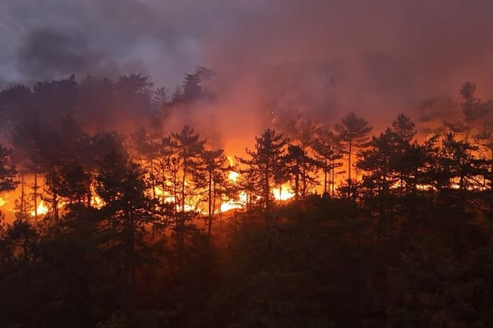 Türkiye yangınlarla boğuşuyor: Dört ilde mücadele devam ediyor