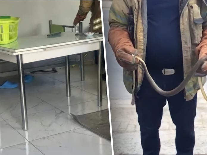 İstanbul'un 7 ilçesinde alarm! Havalar ısınınca ortaya çıktılar, evlere giriyorlar