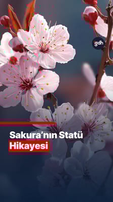 Bir çiçeğin sosyal statüsü olabilir mi?