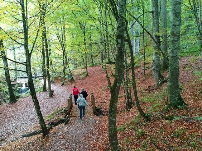 Milli parklar ve doğa koruma kanun teklifinin hangi maddeleri kabul edildi?