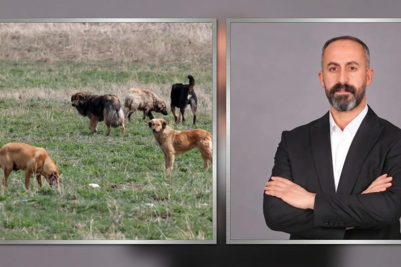 Van’ın Saray ilçesi Belediye Başkanı hakkında soruşturma izni verildi